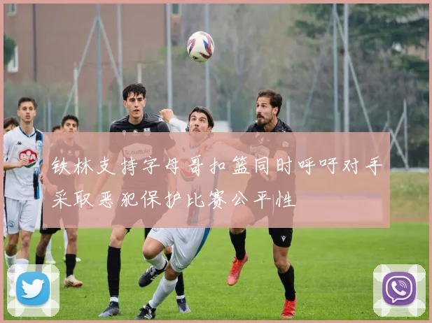 铁林支持字母哥扣篮同时呼吁对手采取恶犯保护比赛公平性