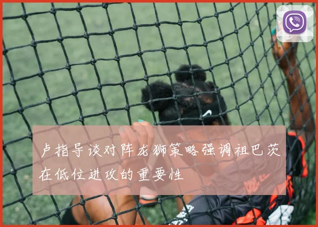 卢指导谈对阵龙狮策略强调祖巴茨在低位进攻的重要性