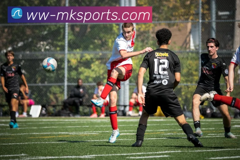 MK体育平台生态图